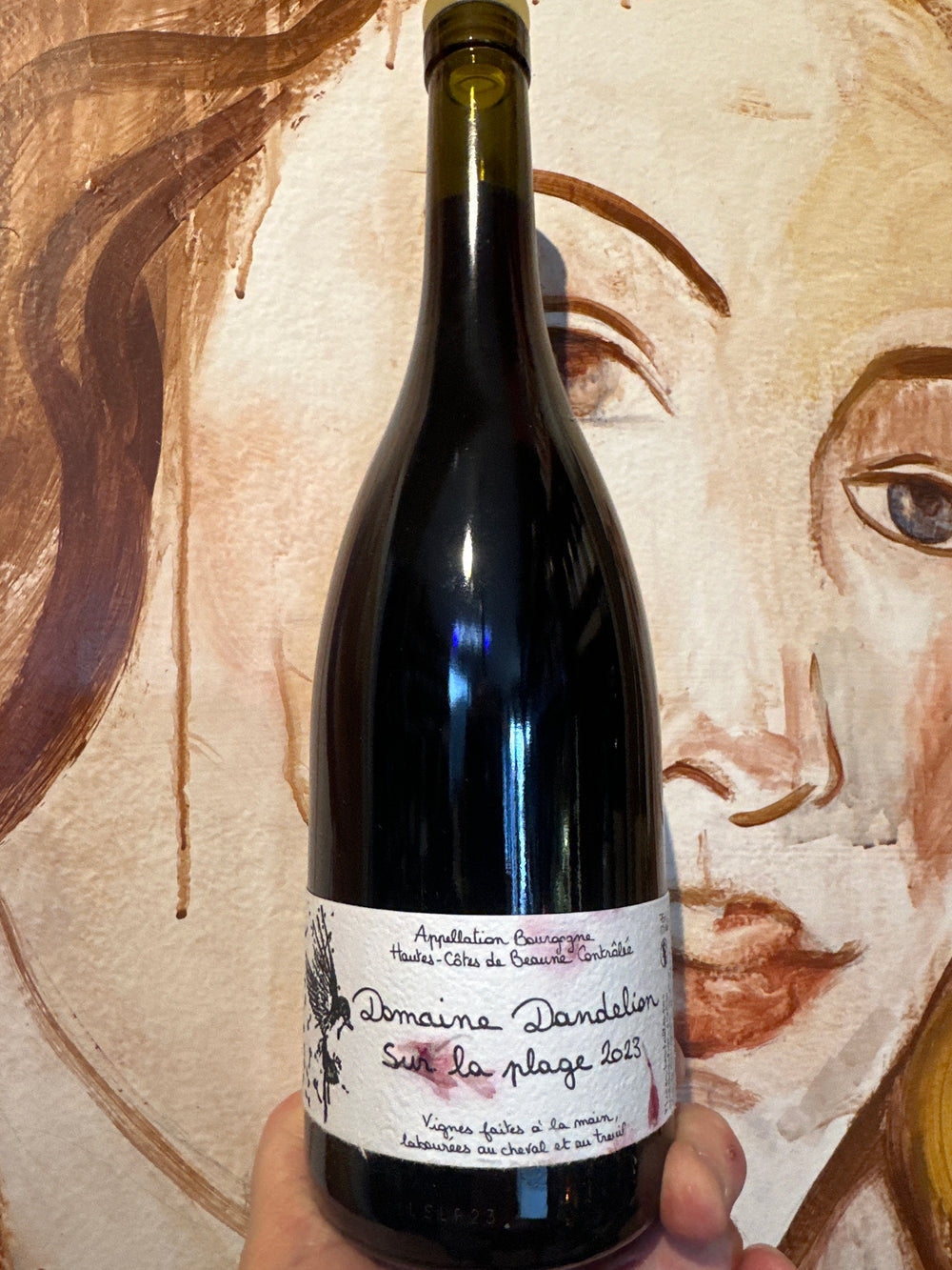 Domaine Dandelion Hautes-Cotes de Beaune 'Sur La Plage' 2023