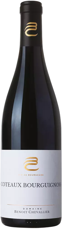 Benoit Chevallier Coteaux Bourguignons 2021