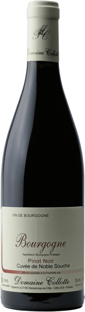Domaine Collotte Bourgogne Rouge ‘Cuvée de Noble Souche’ 2022