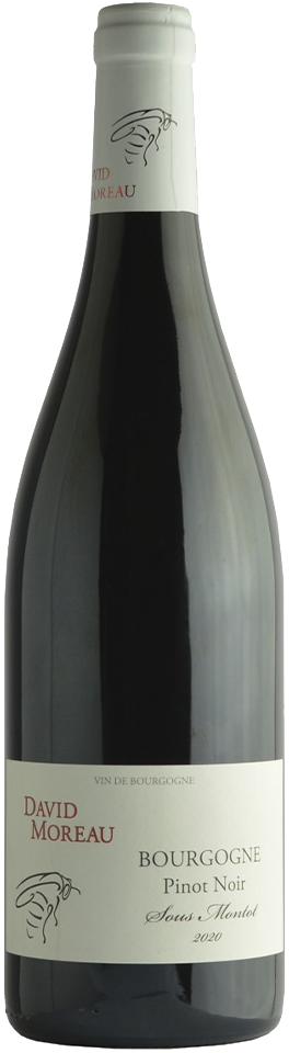 David Moreau 'Sous Montot' Bourgogne Rouge 2021