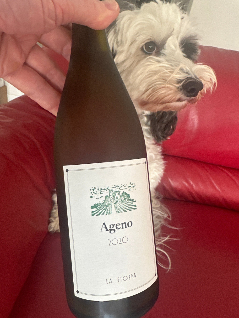 La Stoppa 'Ageno' Bianco 2020