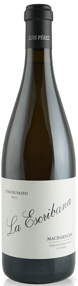 Luis Perez 'La Escribana' Palomino Vino de Pasto 2022