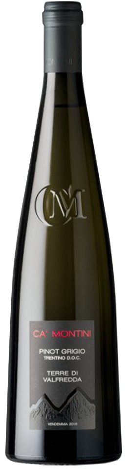 Ca Montini Pinot Grigio 2023