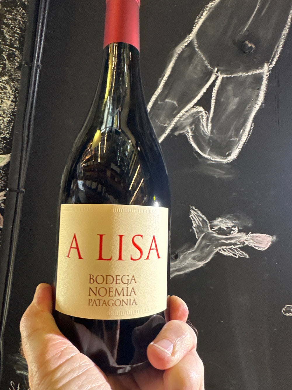 Bodega Noemia A Lisa 2023