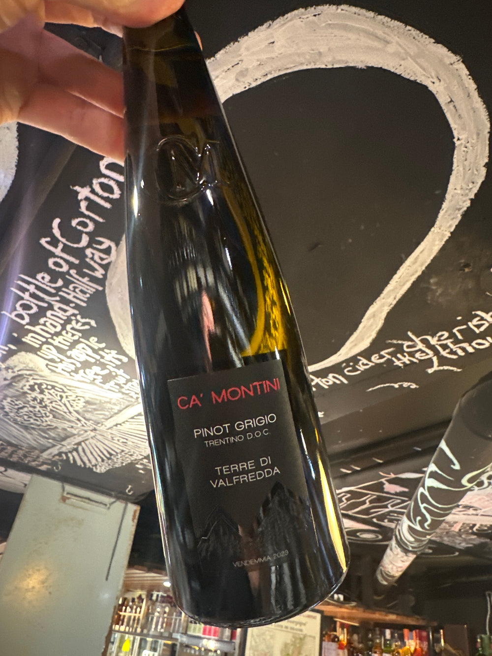 Ca Montini Pinot Grigio 2024