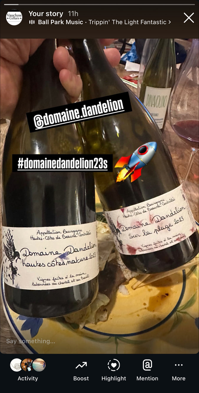 Domaine Dandelion Hautes-Cotes de Beaune 'Sur La Plage' 2023
