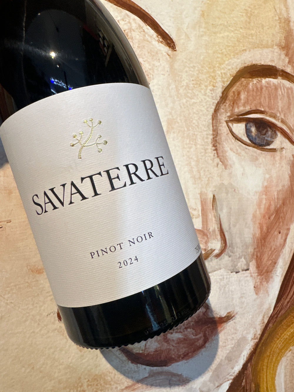 Savaterre Pinot Noir 2024