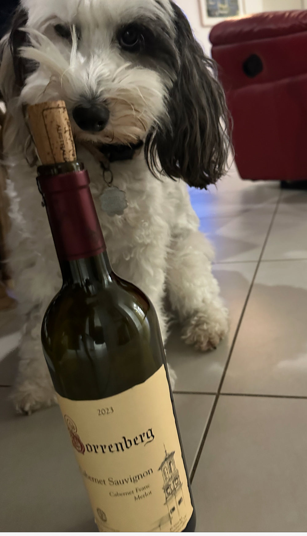 Sorrenberg Cabernet Sauvignon, Cabernet Franc, Merlot 2023