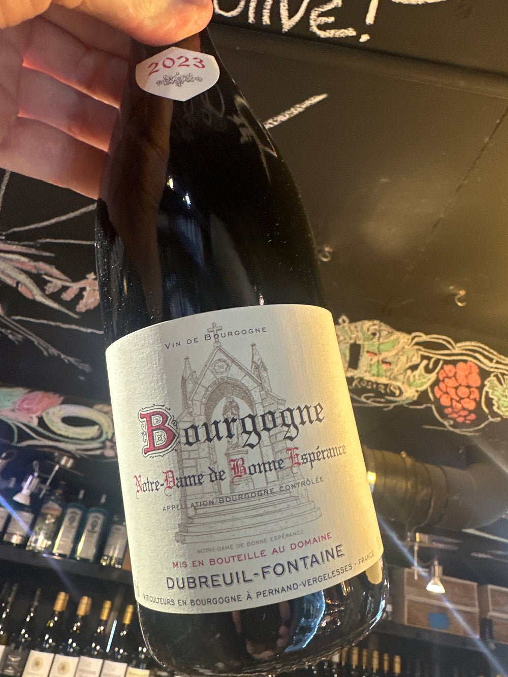 Dubreuil-Fontaine Bourgogne Rouge Notre de Bonne Esperance 2023