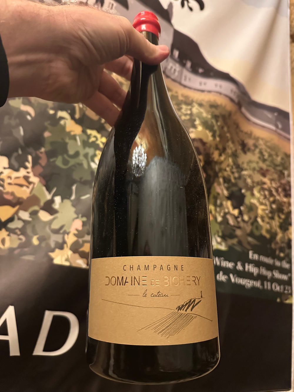 Domaine De Bichery En Val Ligé Coteaux Champenois Pinot Noir 2018 Magnum