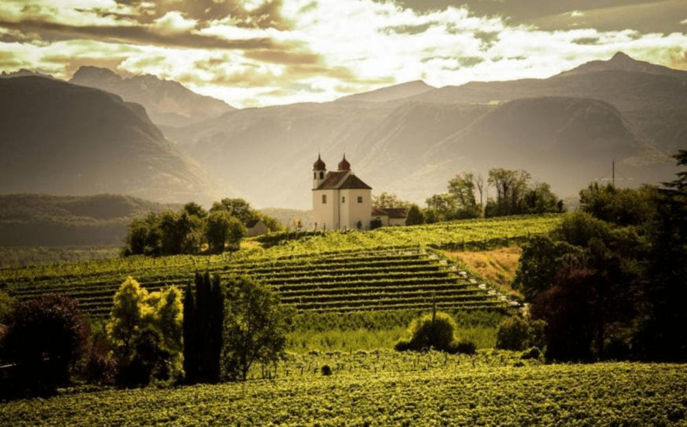Ca Montini Pinot Grigio 2024