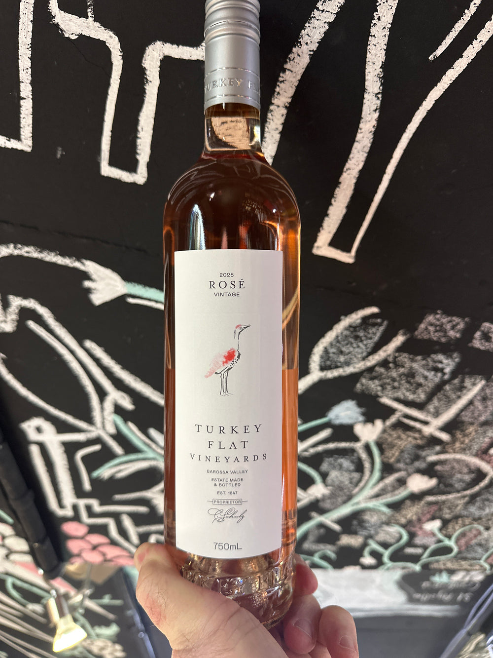 Turkey Flat Rose 2025
