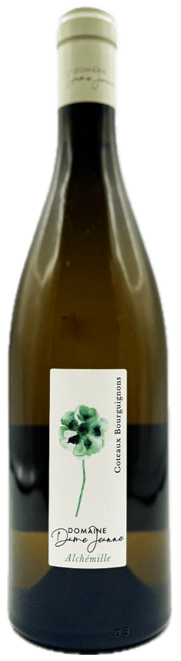 Dame Jeanne 'Alchémille' Coteaux Bourguignons Blanc 2021