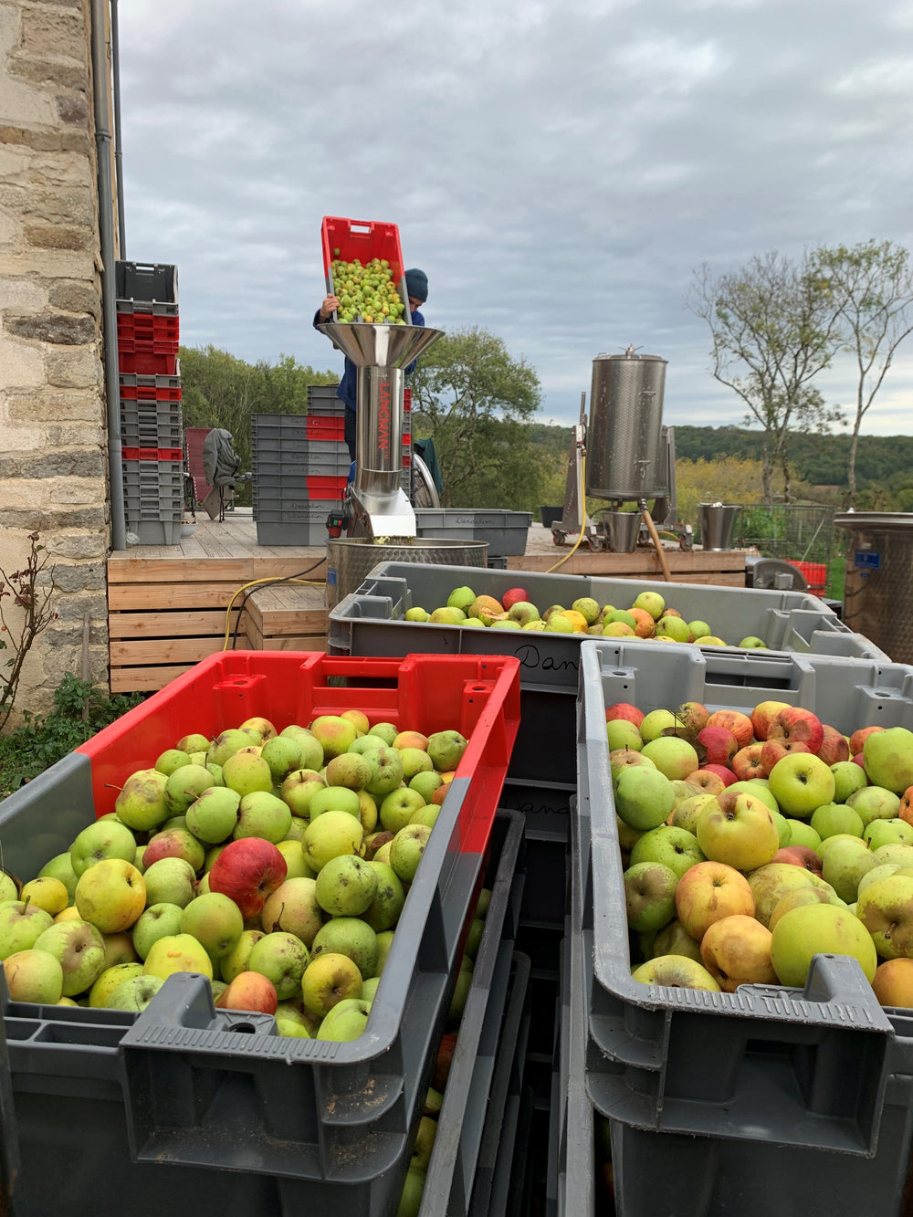 Domaine Dandelion Cidre 2021