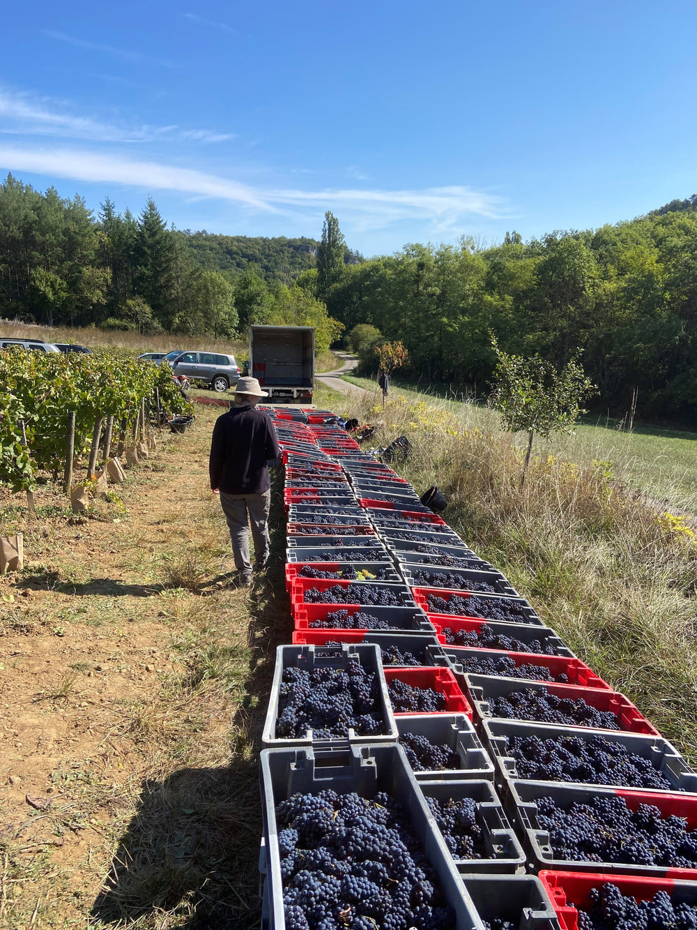 Domaine Dandelion Hautes-Cotes de Beaune 'Nature' Rouge 2020
