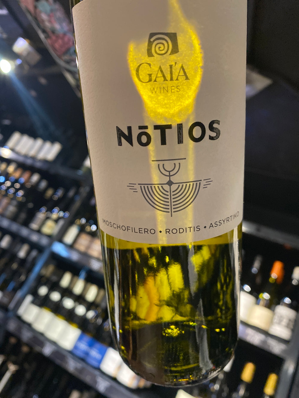 Gaia Notios White 2024