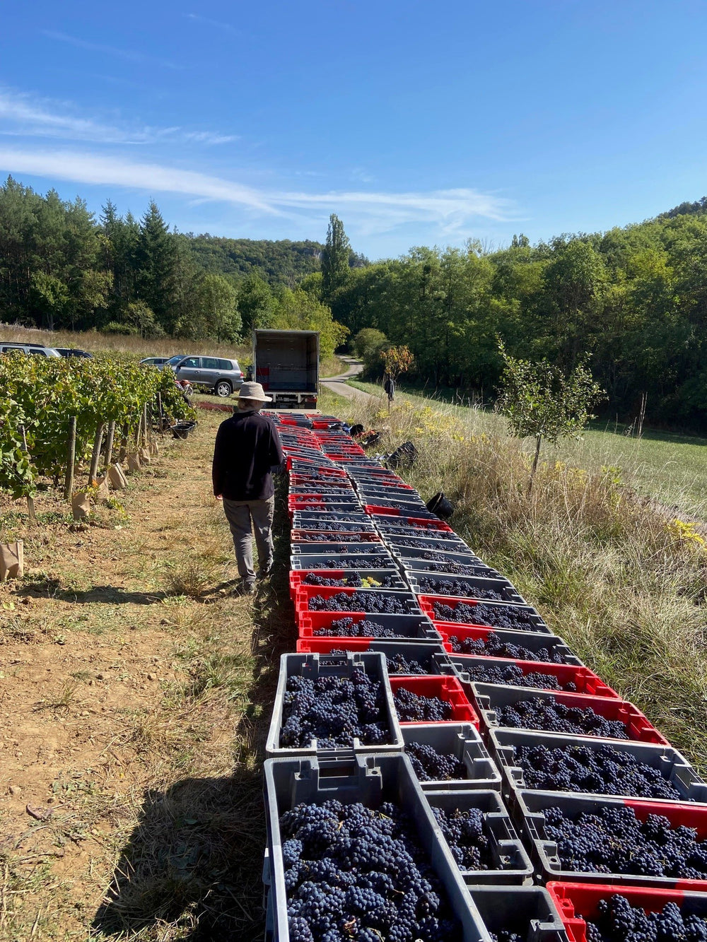 Domaine Dandelion Hautes-Cotes de Beaune 'Sur La Plage' 2023