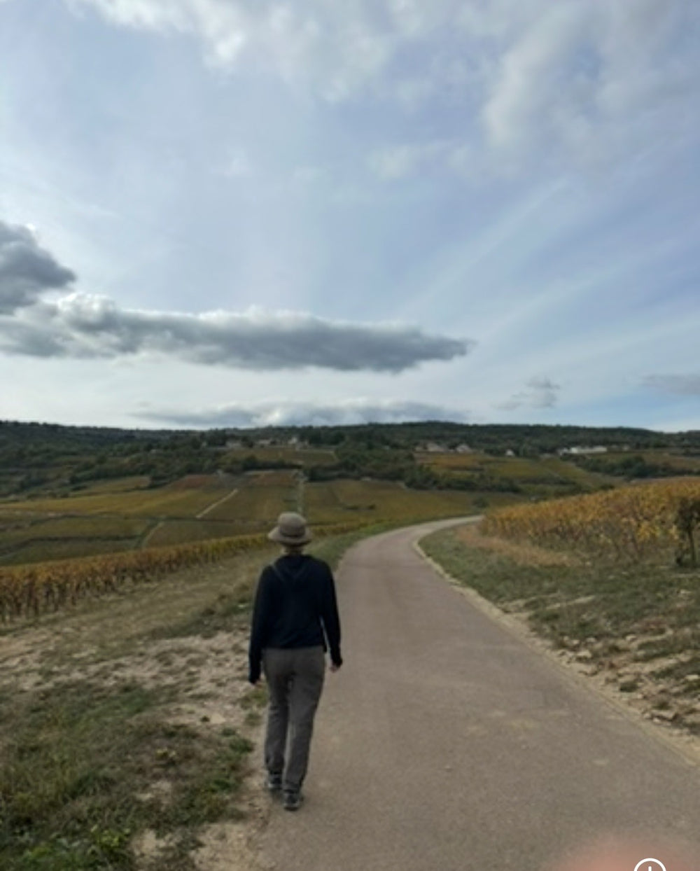 Henri & Gilles Buisson Saint Romain Blanc 'Sous la Chateau' 2022