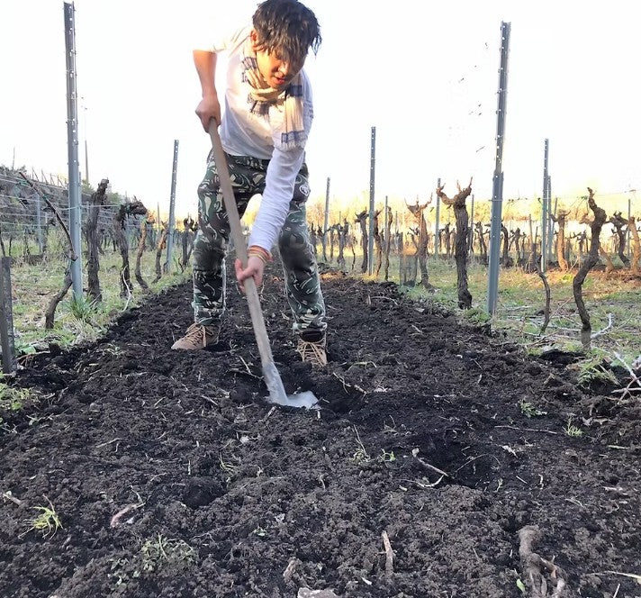 Sciara 1200 metri Grenache IGT Terre Siciliane Rosso 2023