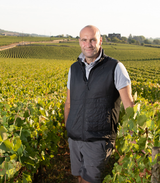 Pierre-Yves Colin-Morey Hautes-Cotes de Beaune Blanc 2024