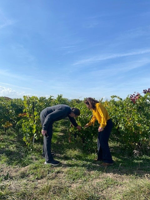 Marie et Vincent Tricot "3 Bonhommes" Pinot Noir 2022